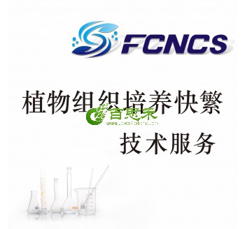 植物组织培养快繁